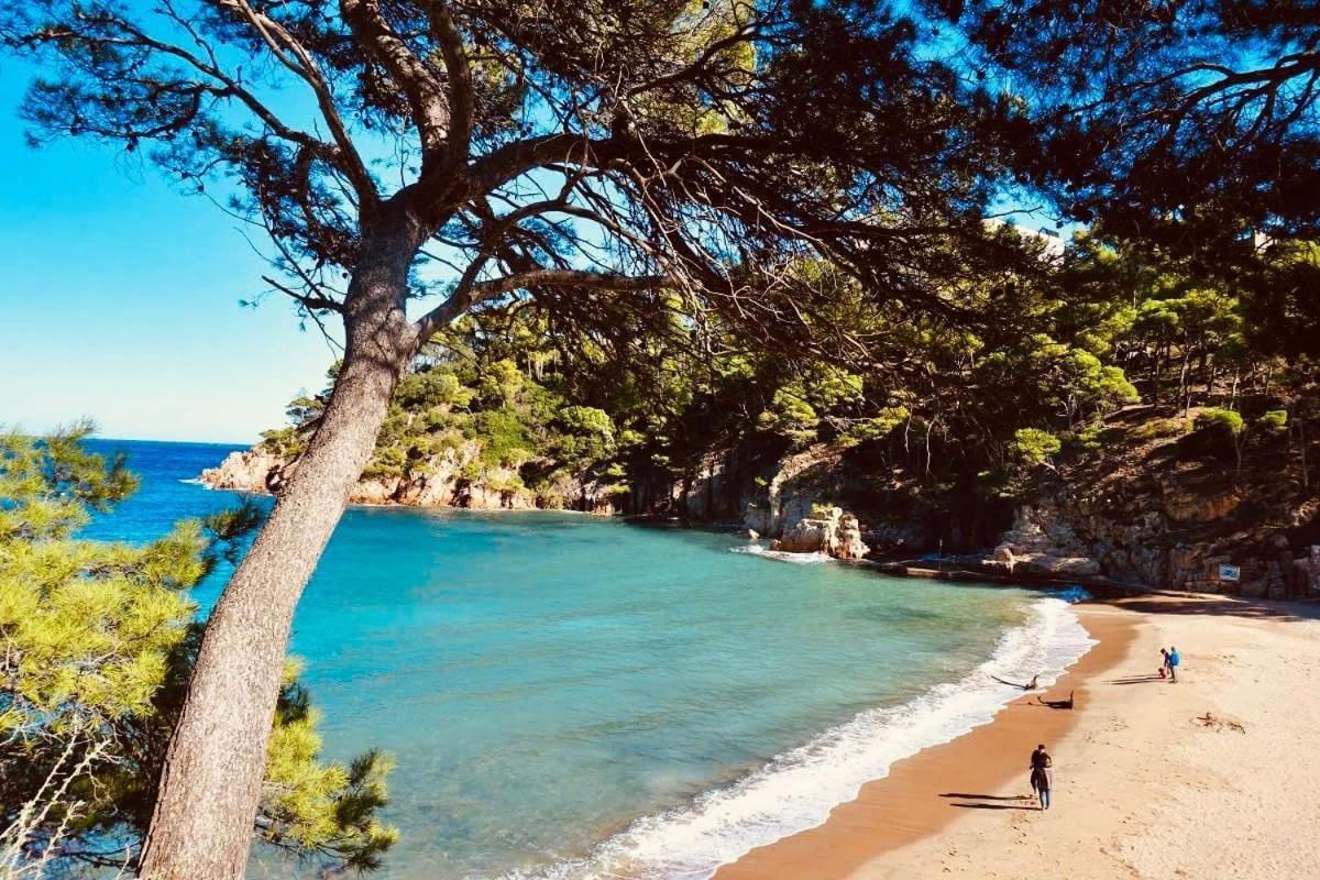 Autentica Casa Del Sxvii En La Costa Brava Cruïlles Екстериор снимка
